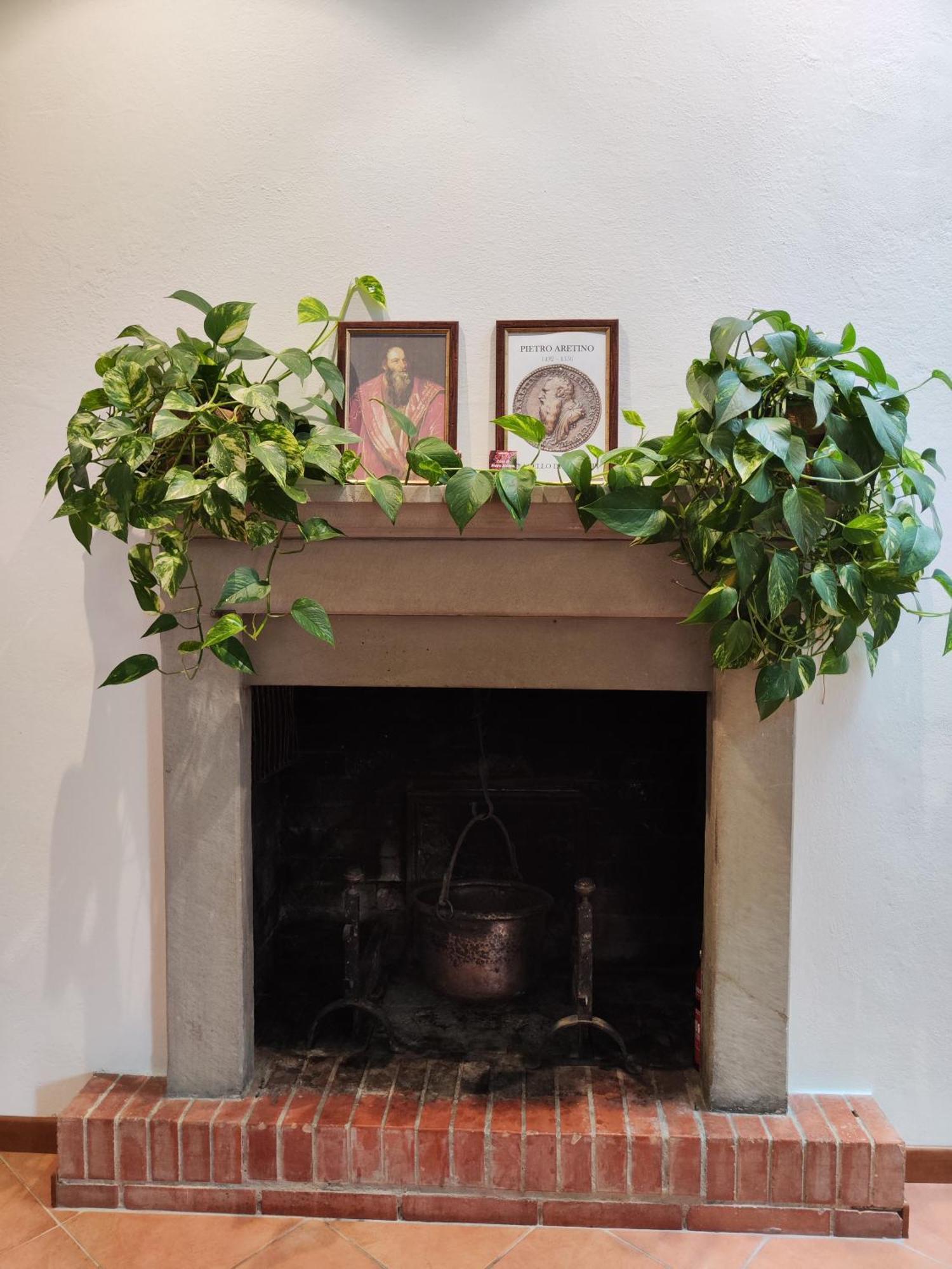 Casa Di Pietro Aretino, Arezzo Centro Storico 4-8 Letti Apartment Bagian luar foto
