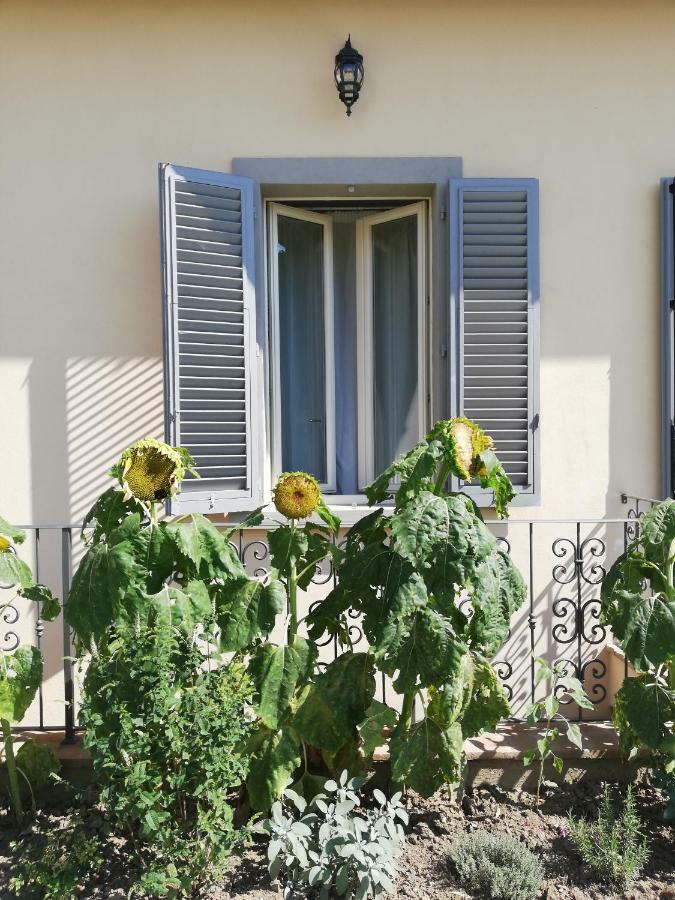 Casa Di Pietro Aretino, Arezzo Centro Storico 4-8 Letti Apartment Bagian luar foto